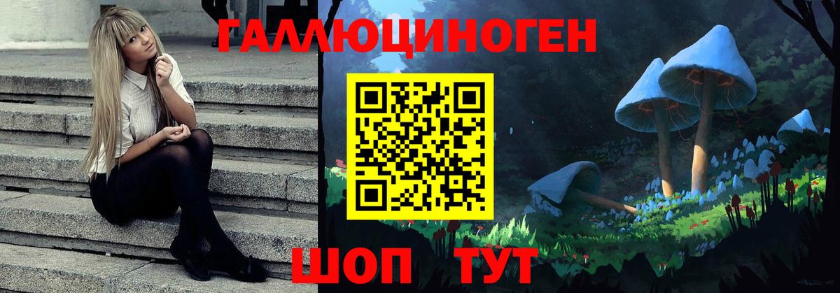 Звенигород  Псилоцибиновые грибы Psilocybe  закладка  Вход с VPN 