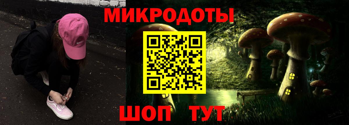 Псилоцибиновые грибы Psilocybe Звенигород