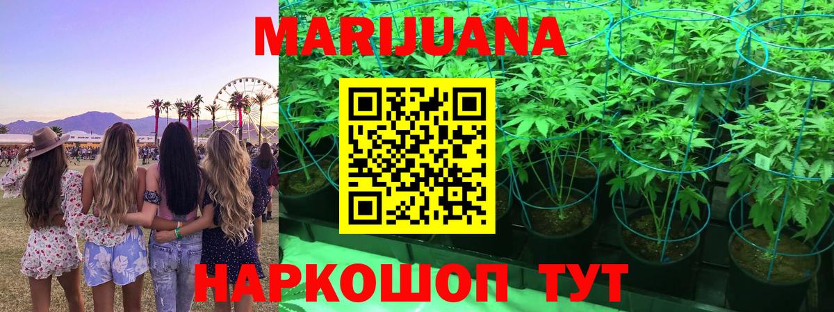 Канабис ГИДРОПОН Звенигород
